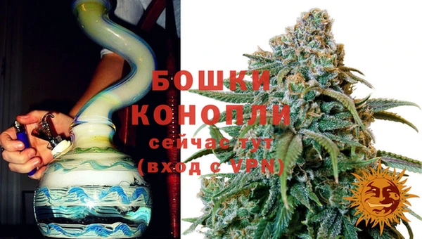 гидропоника Лагань