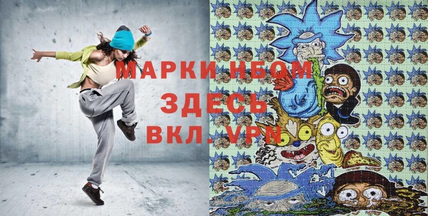 сатива Лабытнанги