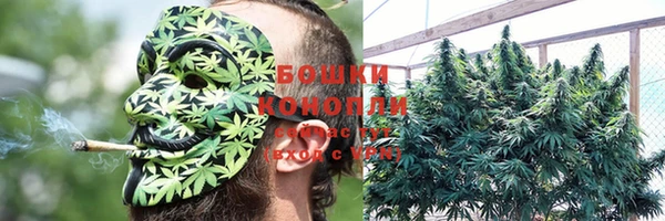 сатива Лабытнанги