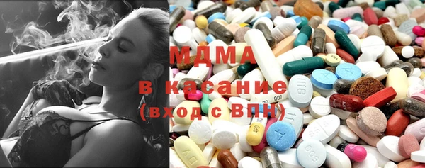 сатива Лабытнанги