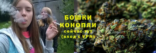 сатива Лабытнанги