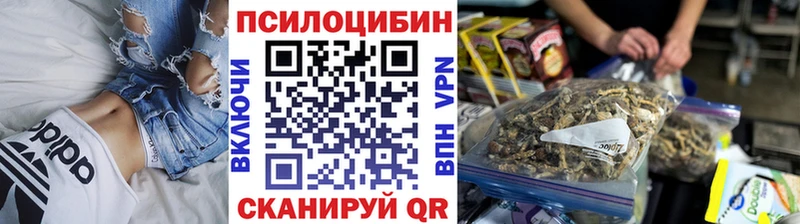 Псилоцибиновые грибы MAGIC MUSHROOMS  купить наркотики цена  Мелеуз 