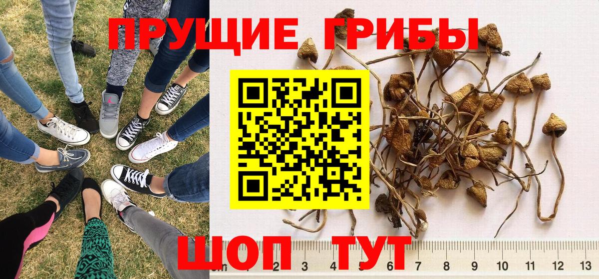 Мелеуз  Галлюциногенные грибы мицелий  Вход с VPN 